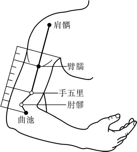 臂儒穴|臂臑穴－【中醫道】